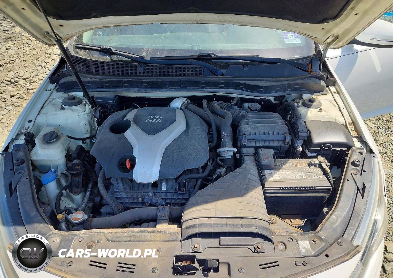 2011 Kia Optima Ex Turbo VIN:KNAGN4A66B5163863 - 11