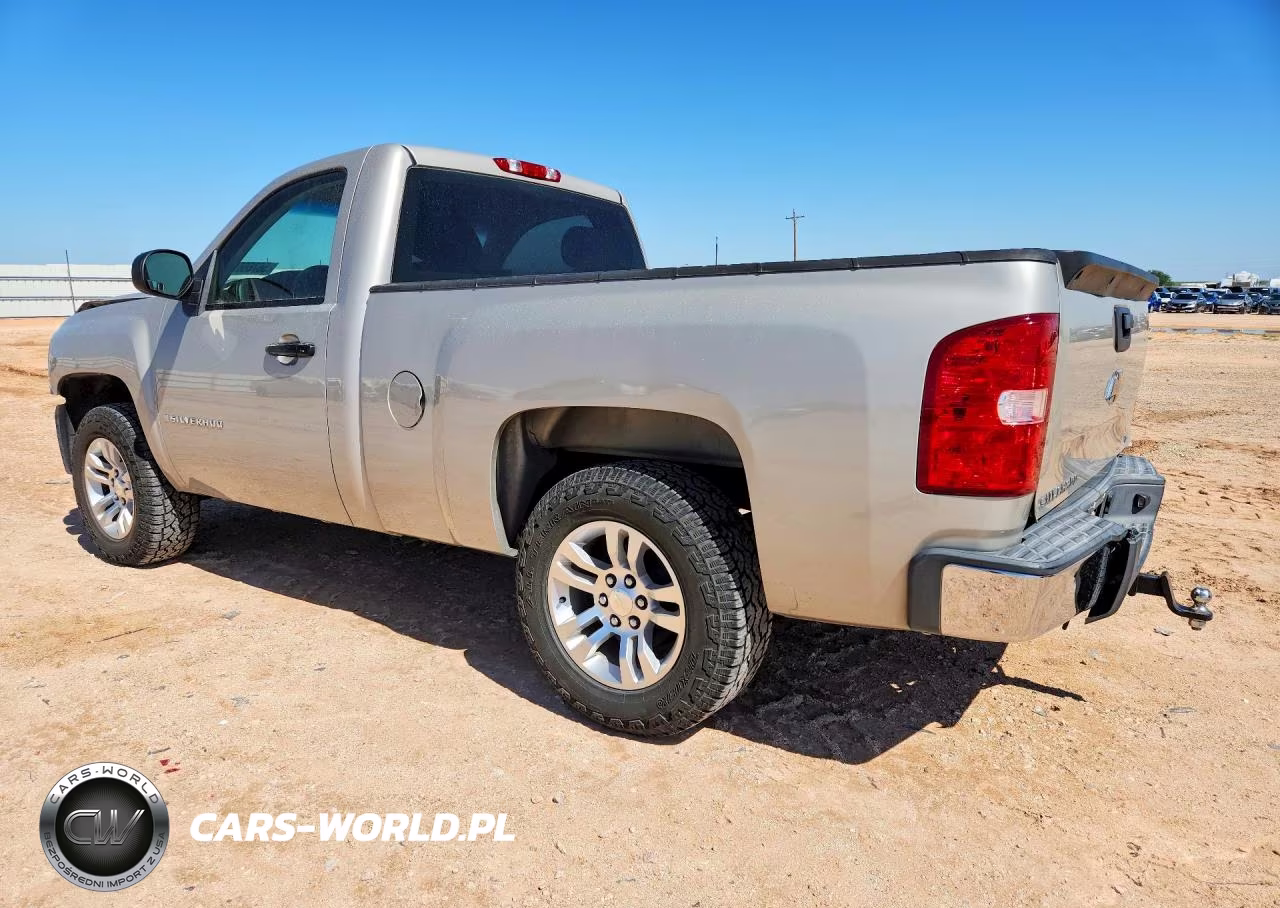 2009 Chevrolet Silverado C1500 VIN:1GCEC14X59Z176545 - 2