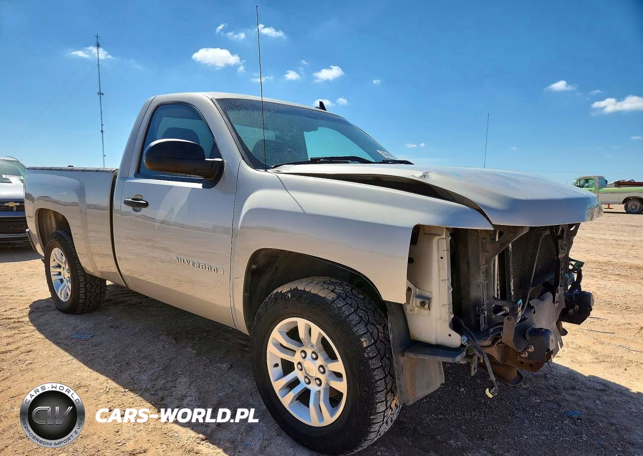 2009 Chevrolet Silverado C1500 VIN:1GCEC14X59Z176545 - 4