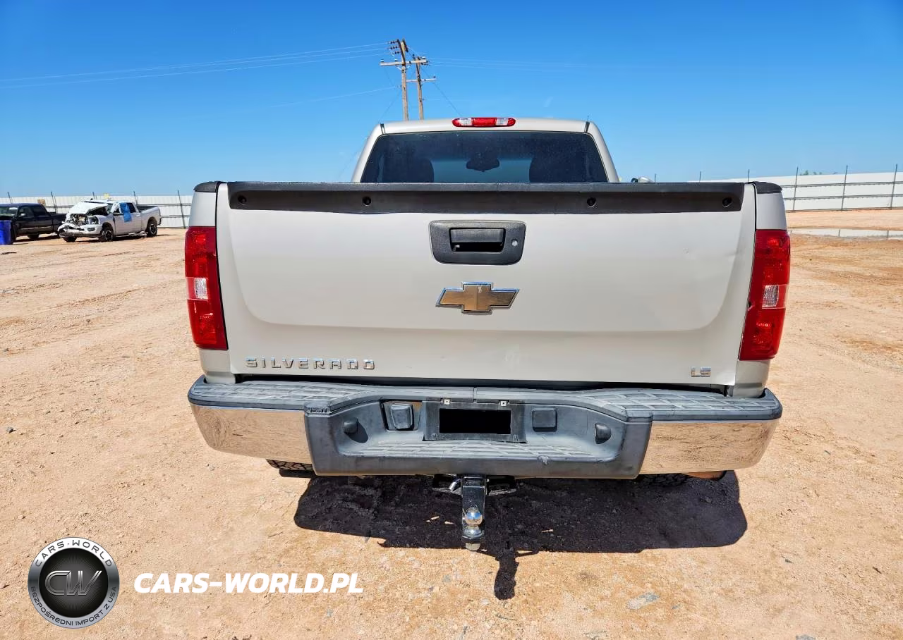 2009 Chevrolet Silverado C1500 VIN:1GCEC14X59Z176545 - 6