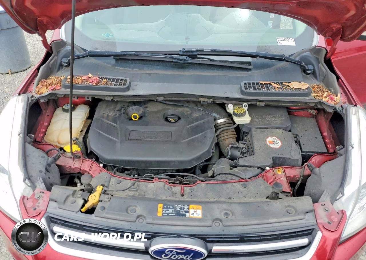 2013 Ford Escape Sel VIN:1FMCU9H9XDUD80371 - 12