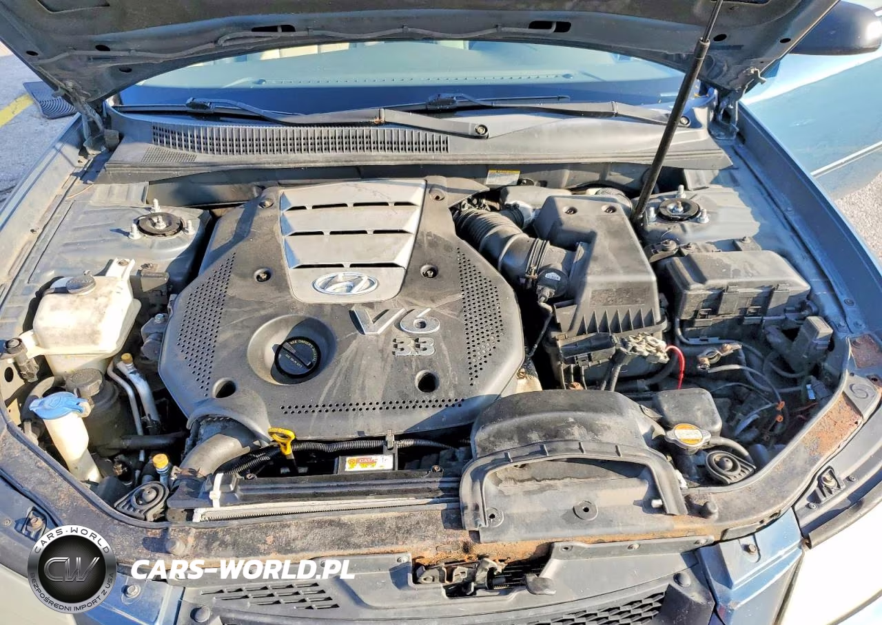 2007 Hyundai Sonata Se VIN:5NPEU46F17H211461 - 11