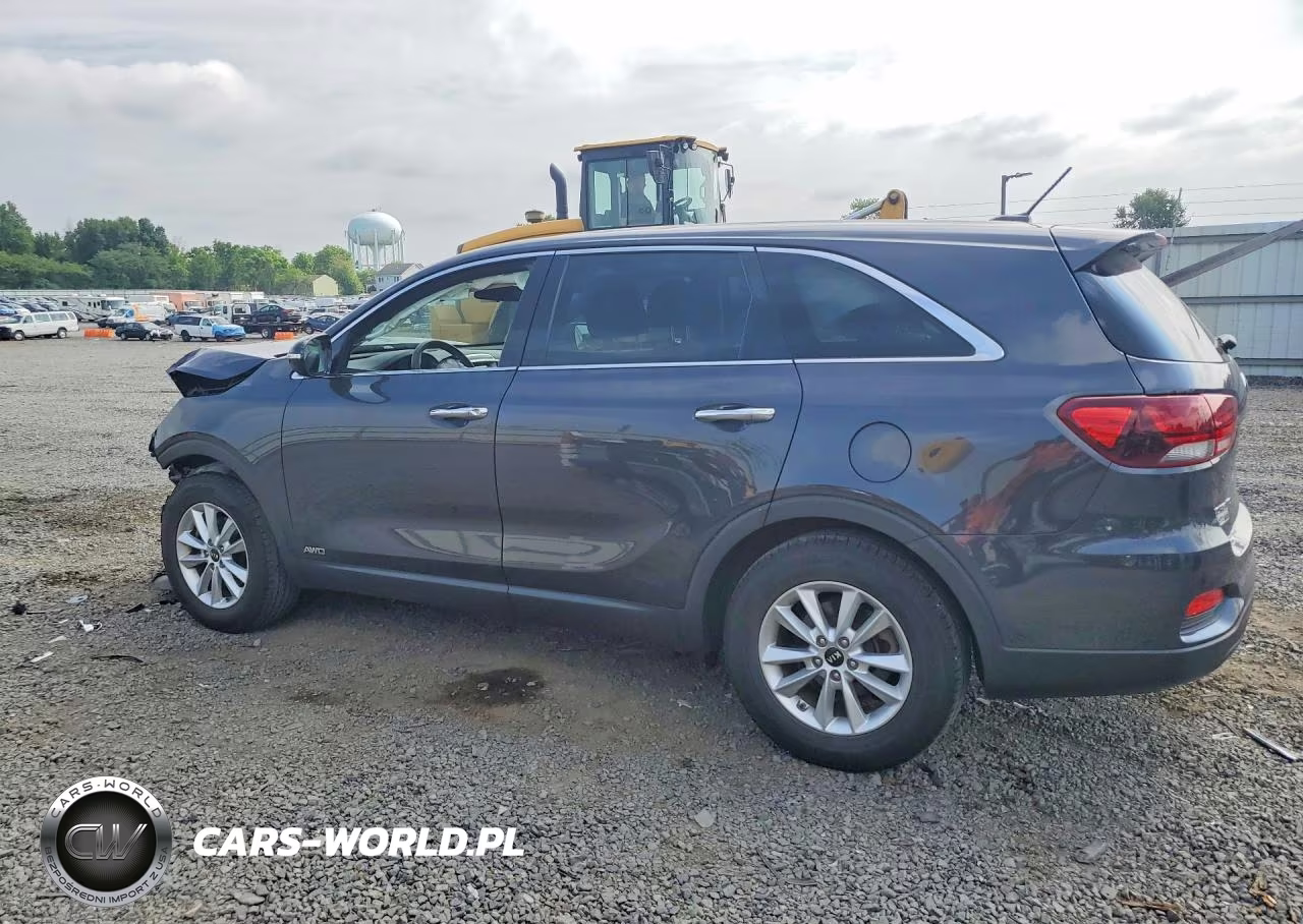 2019 Kia Sorento Lx VIN:5XYPGDA31KG459903 - 2