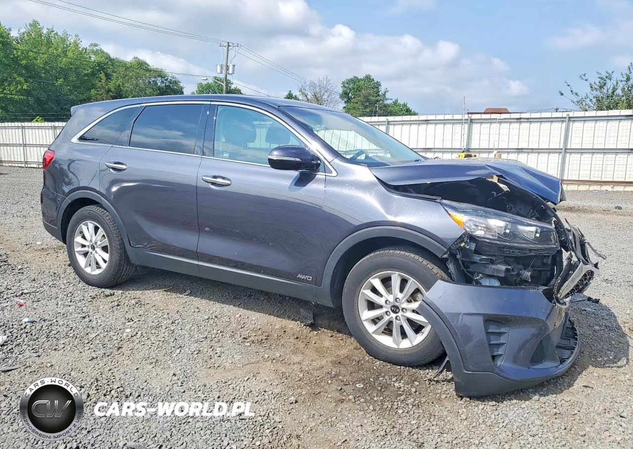 2019 Kia Sorento Lx VIN:5XYPGDA31KG459903 - 4