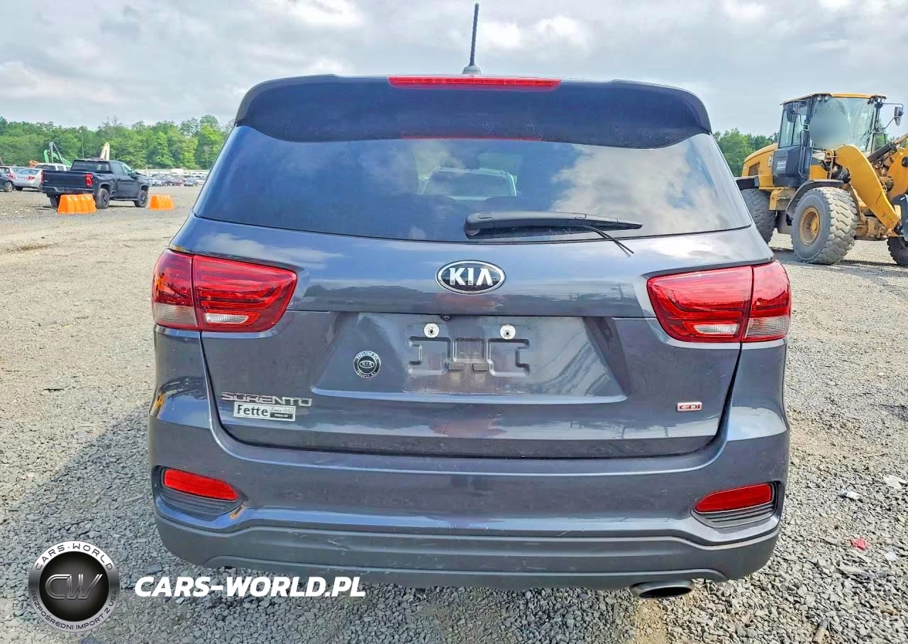 2019 Kia Sorento Lx VIN:5XYPGDA31KG459903 - 6