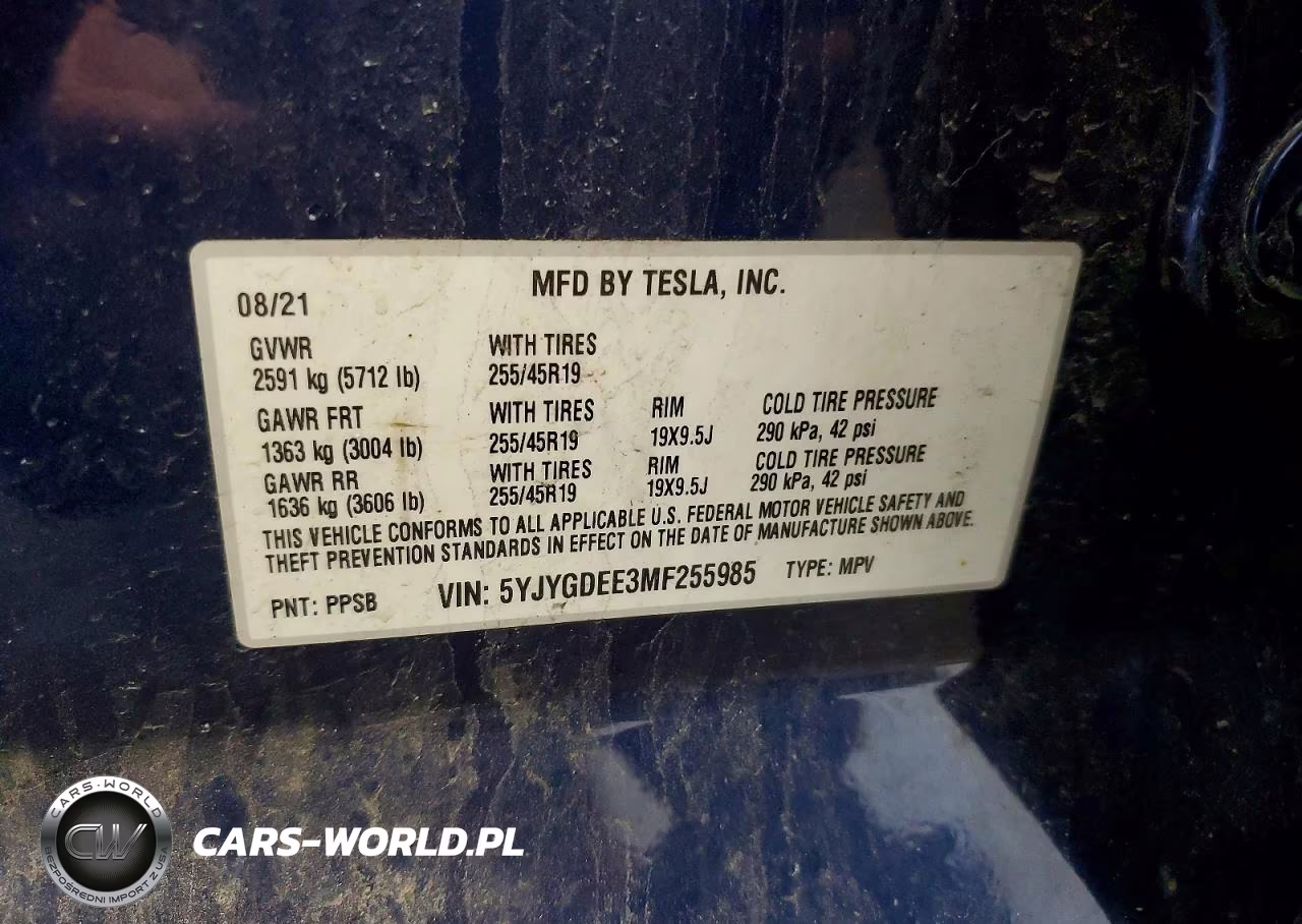 2021 Tesla Model Y VIN:5YJYGDEE3MF255985 - 12
