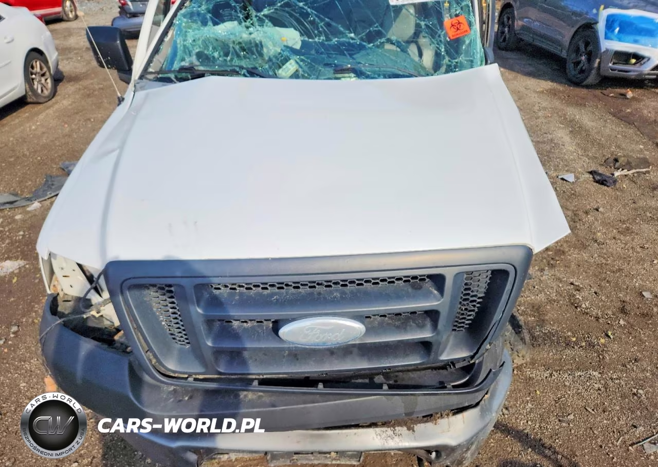 2006 Ford F150 VIN:1FTRF14586NA95548 - 11