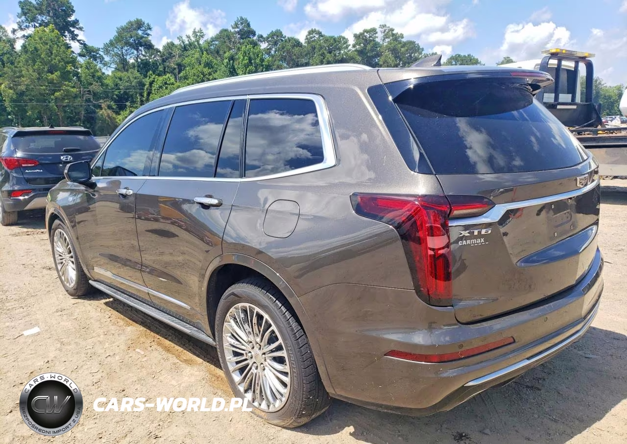 2020 Cadillac Xt6 Premium Luxury VIN:1GYKPCRS4LZ150441 - 2