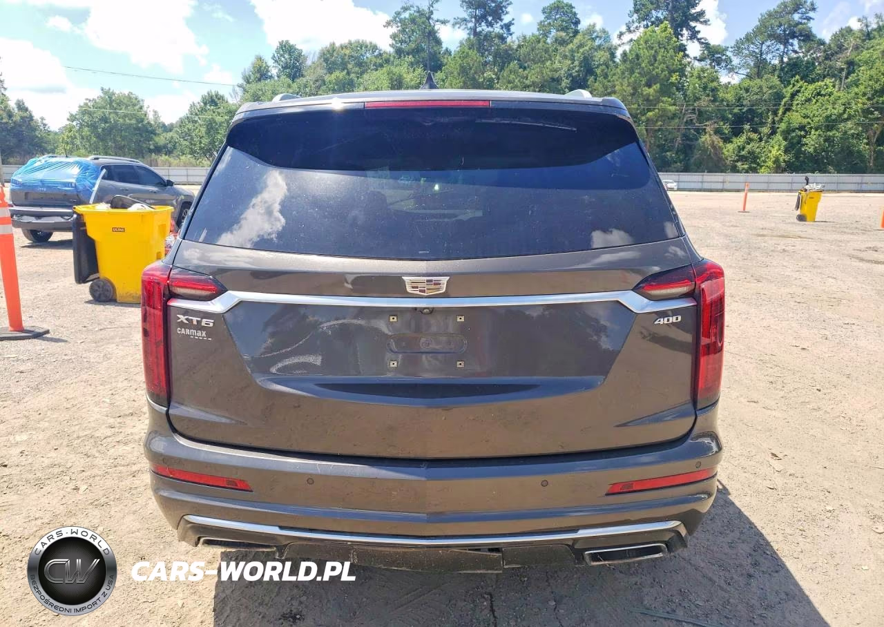 2020 Cadillac Xt6 Premium Luxury VIN:1GYKPCRS4LZ150441 - 6