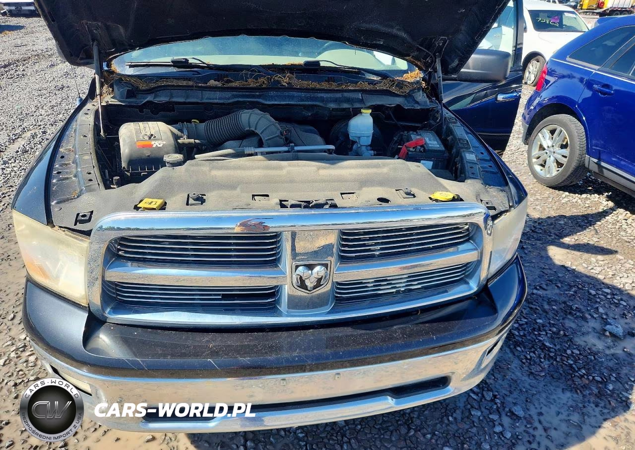 2009 Dodge Ram 1500 VIN:1D3HV18T99S786799 - 11