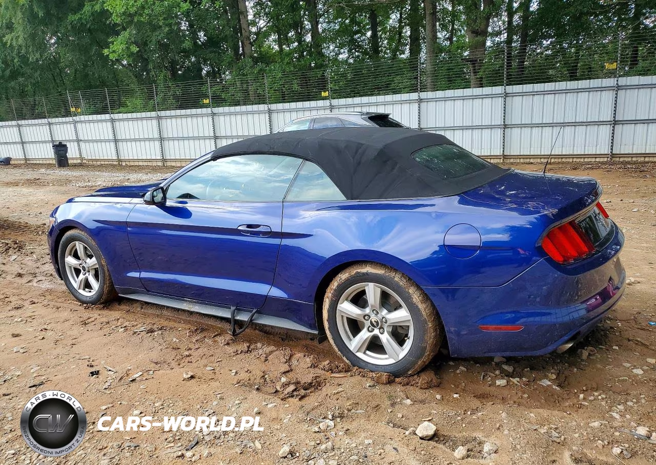 2015 Ford Mustang VIN:1FATP8EM9F5371534 - 2