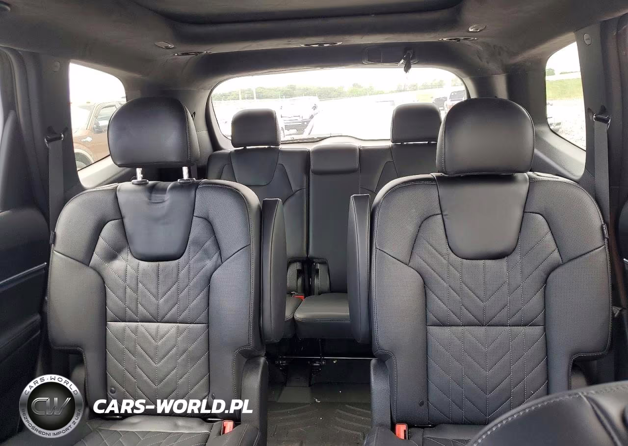 2024 Kia Telluride Sx-Prestige X-Line VIN:5XYP5DGCXRG444808 - 10