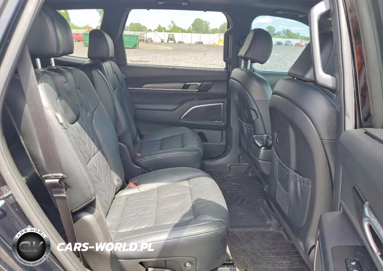 2024 Kia Telluride Sx-Prestige X-Line VIN:5XYP5DGCXRG444808 - 11