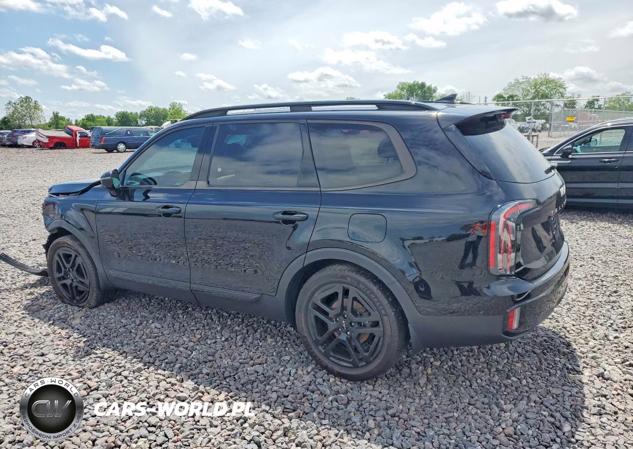 2024 Kia Telluride Sx-Prestige X-Line VIN:5XYP5DGCXRG444808 - 2