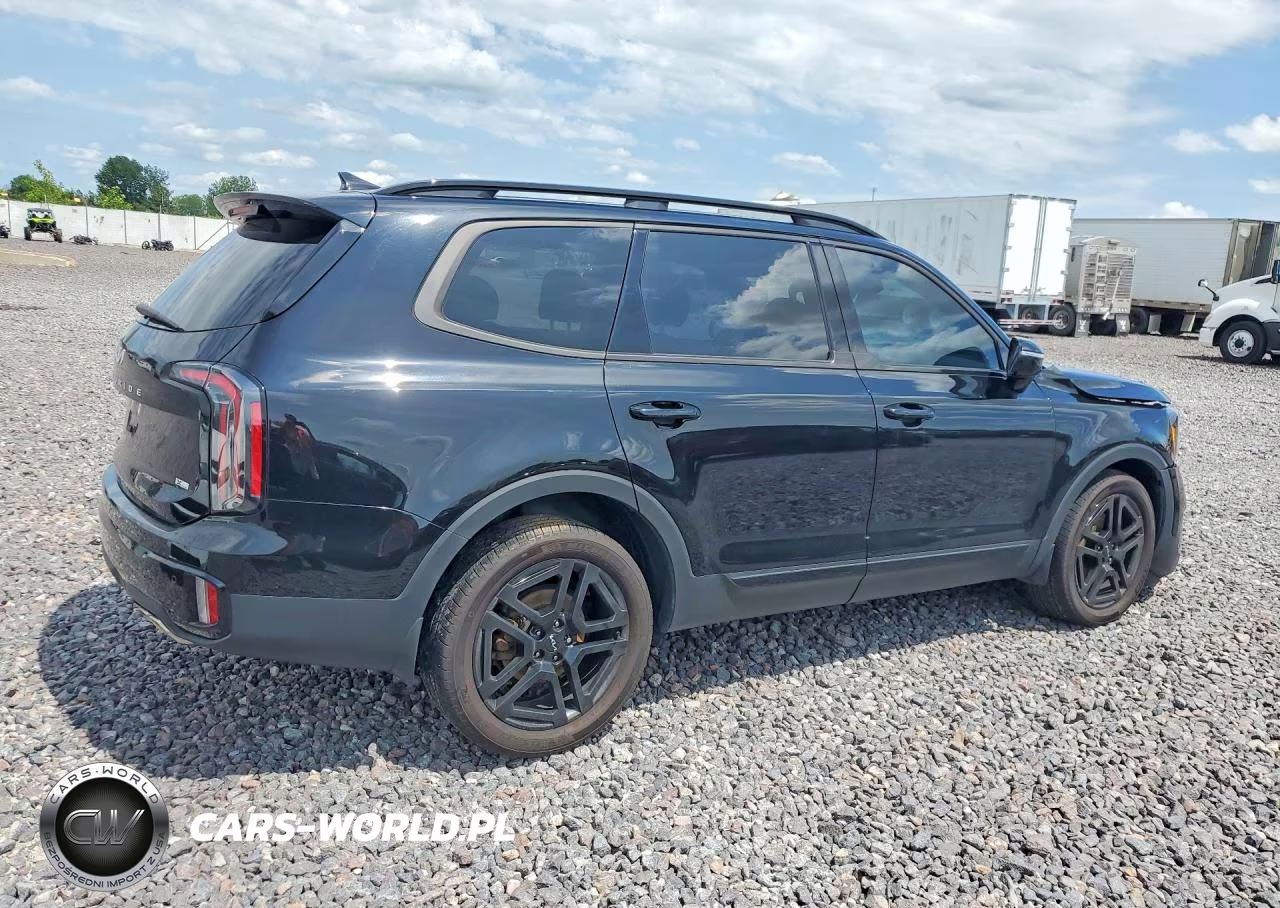 2024 Kia Telluride Sx-Prestige X-Line VIN:5XYP5DGCXRG444808 - 3