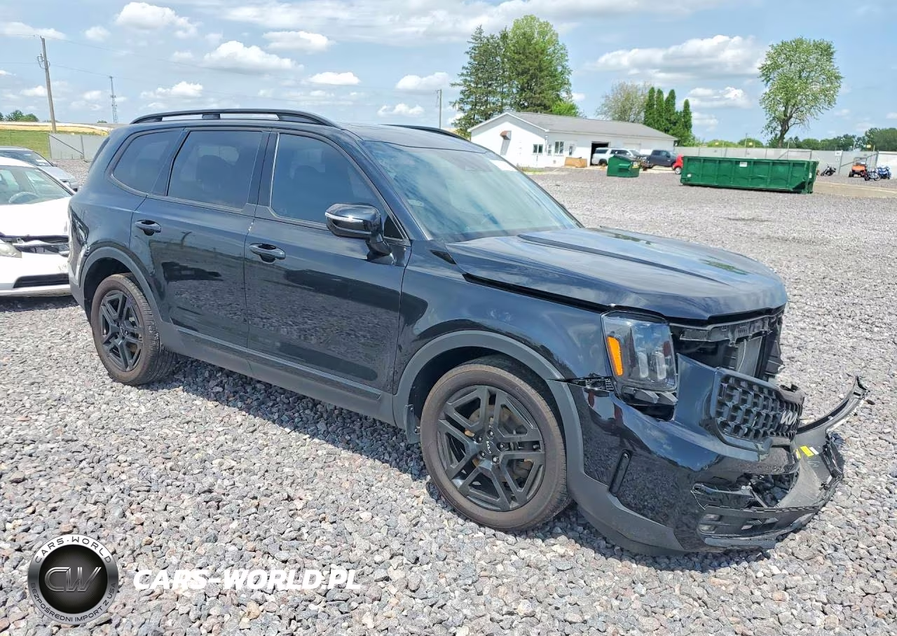 2024 Kia Telluride Sx-Prestige X-Line VIN:5XYP5DGCXRG444808 - 4