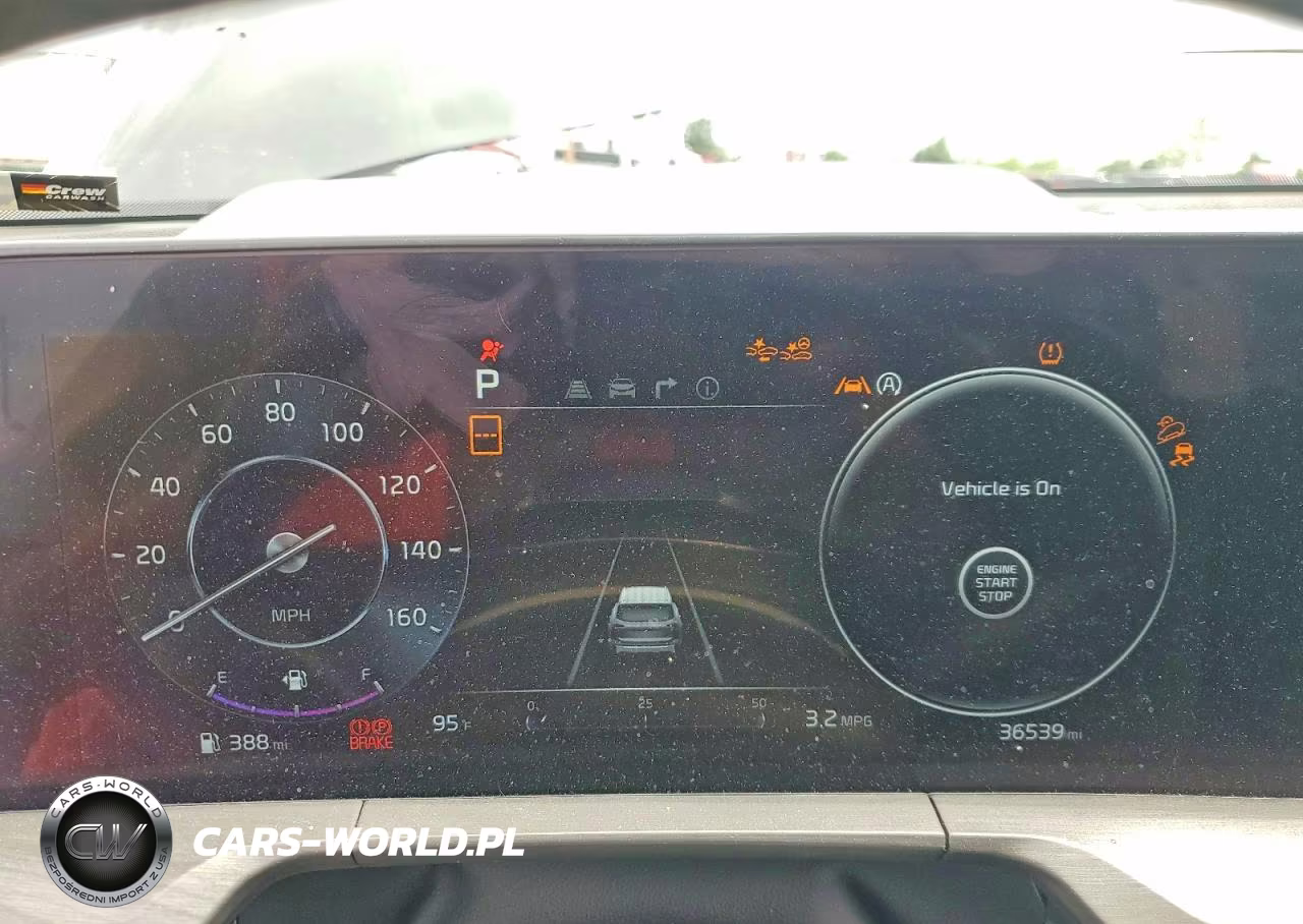 2024 Kia Telluride Sx-Prestige X-Line VIN:5XYP5DGCXRG444808 - 9