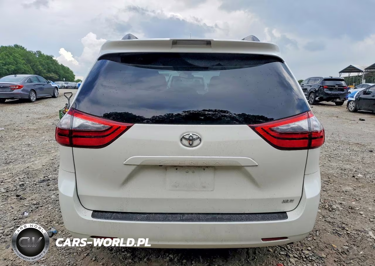 2020 Toyota Sienna Xle 8-Passenger VIN:5TDYZ3DC4LS085389 - 6