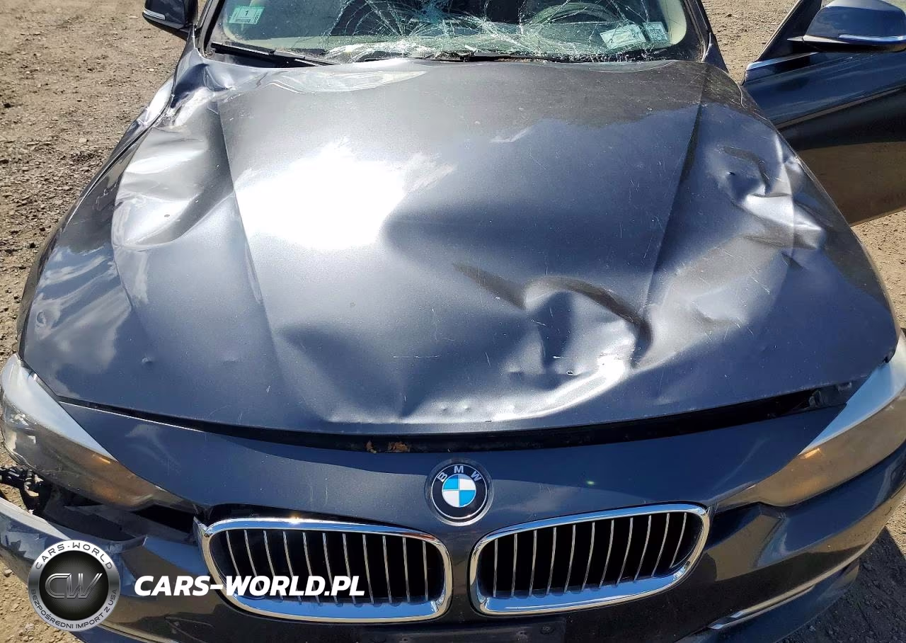 2015 BMW 328 Xi Sulev VIN:WBA3B5G59FNS20185 - 11