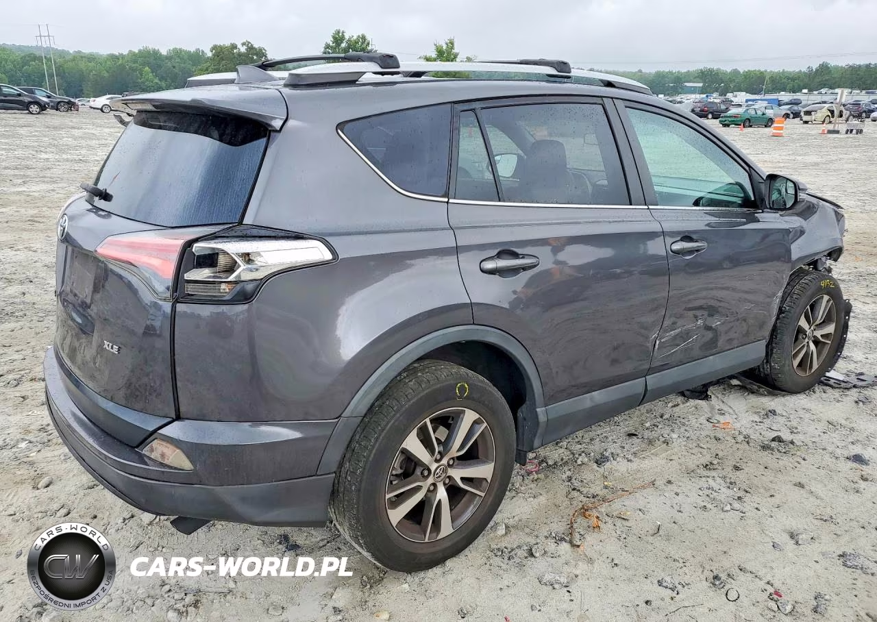 2016 Toyota Rav4 Xle VIN:2T3WFREVXGW262695 - 3