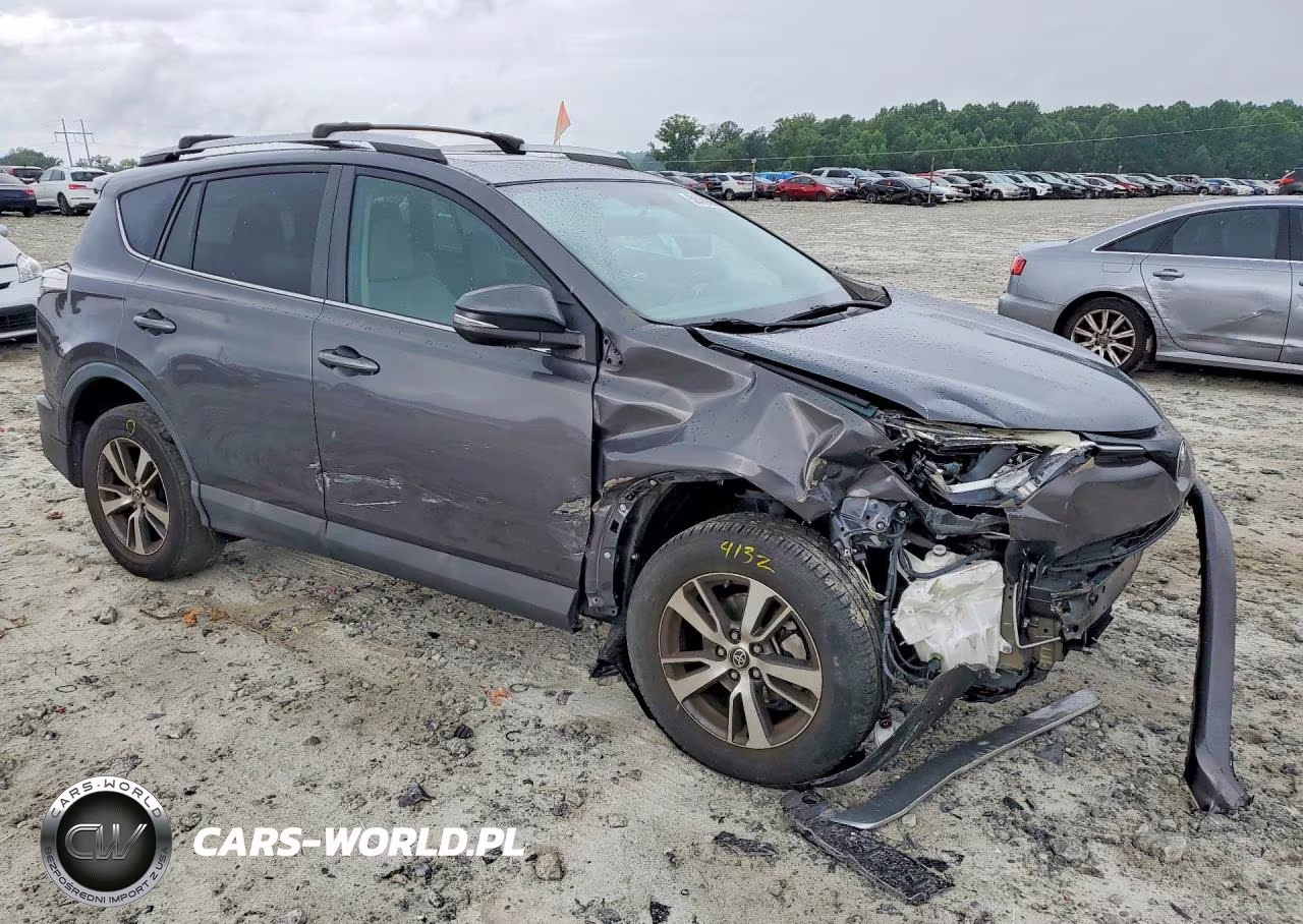 2016 Toyota Rav4 Xle VIN:2T3WFREVXGW262695 - 4