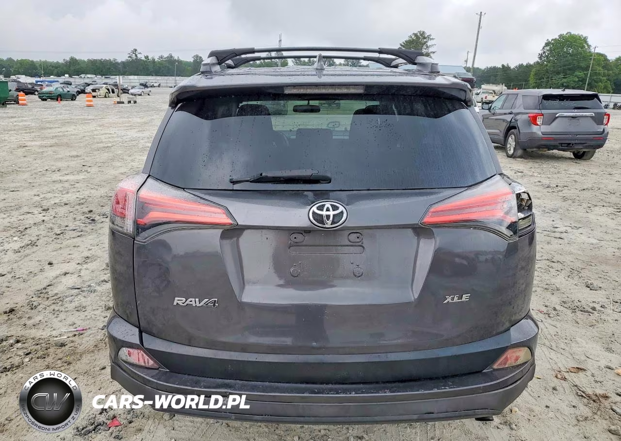 2016 Toyota Rav4 Xle VIN:2T3WFREVXGW262695 - 6