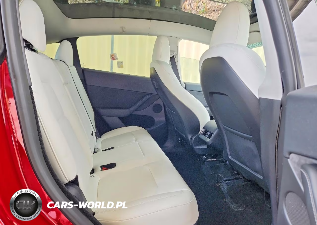 2023 Tesla Model Y VIN:7SAYGDEE9PF750019 - 10