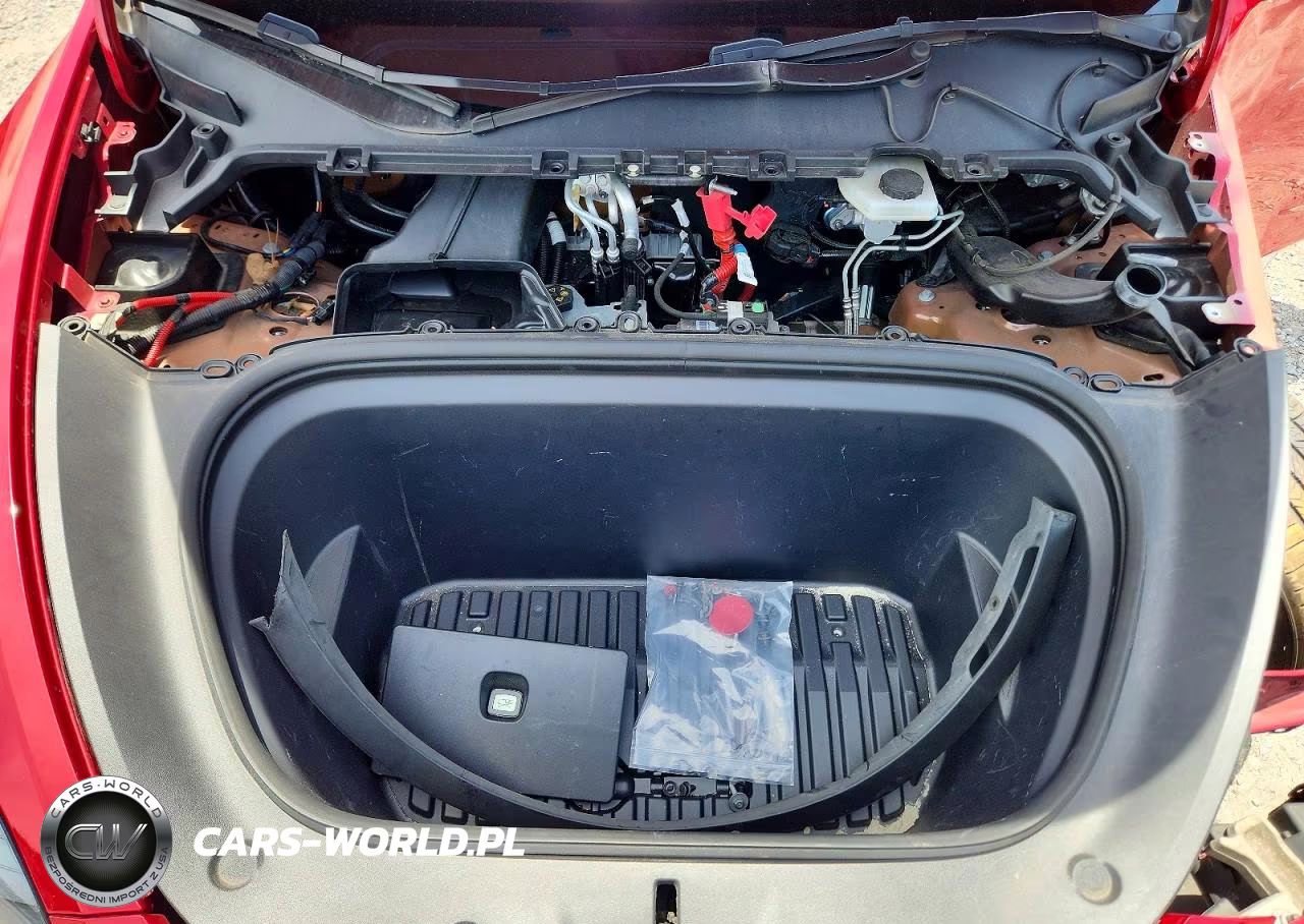 2023 Tesla Model Y VIN:7SAYGDEE9PF750019 - 11