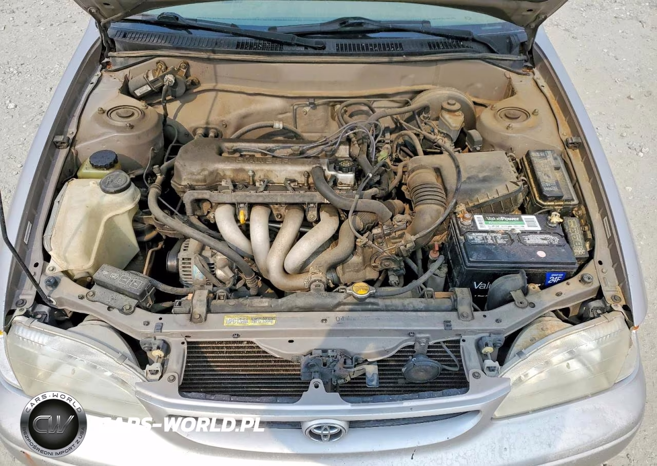 1999 Toyota Corolla Ve VIN:1NXBR12E9XZ183393 - 11