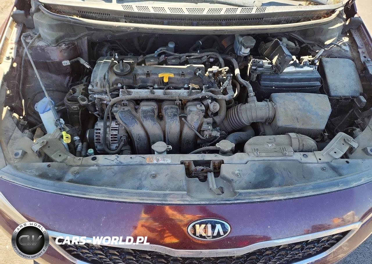 2017 Kia Forte Lx VIN:3KPFL4A75HE147003 - 11