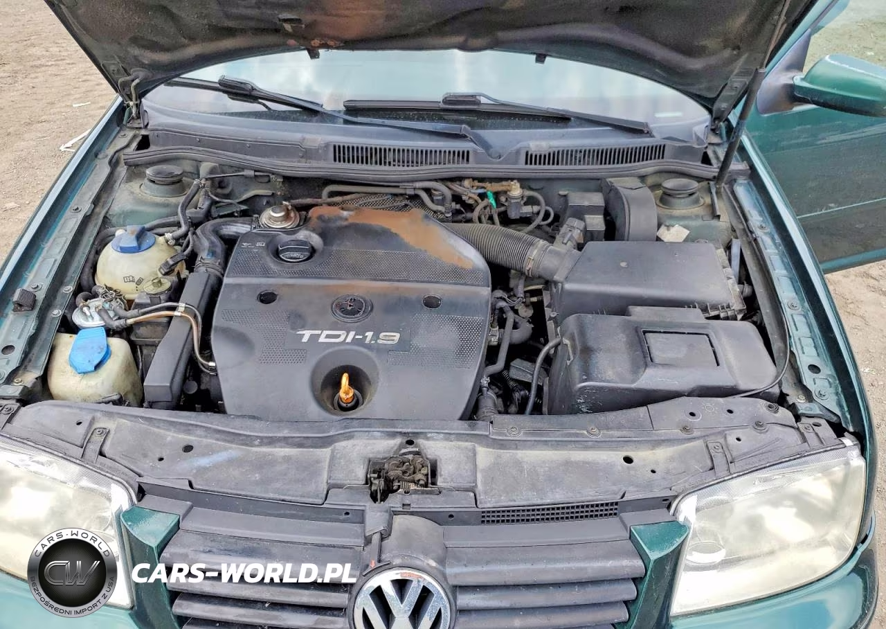 2002 Volkswagen Jetta Gls Tdi VIN:3VWSP69M82M174845 - 11