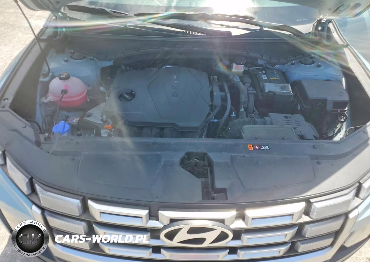2025 Hyundai Santa Cruz Se VIN:5NTJA4DE5SH145637 - 12