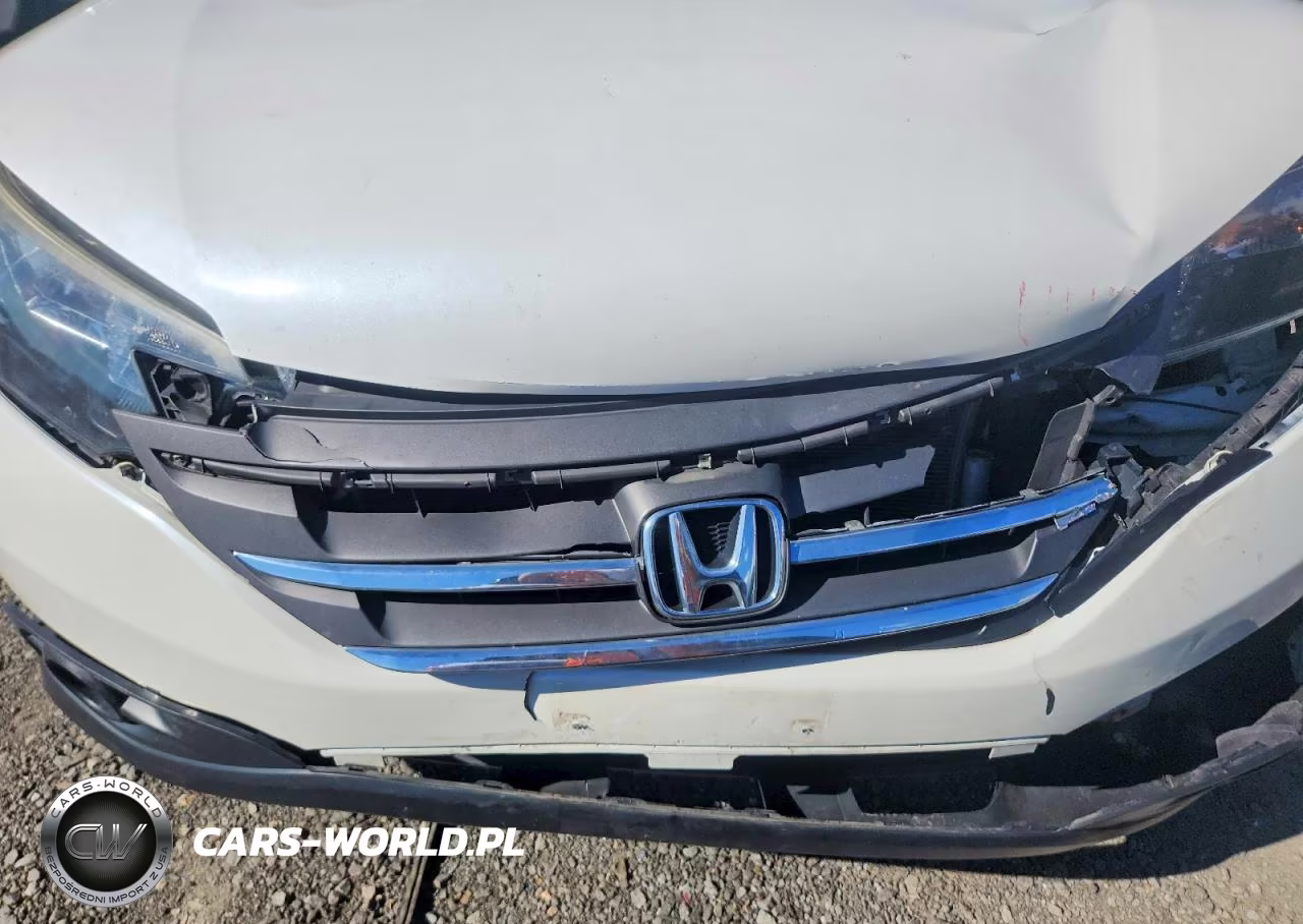 2014 Honda Cr-V Exl VIN:5J6RM4H74EL034432 - 12