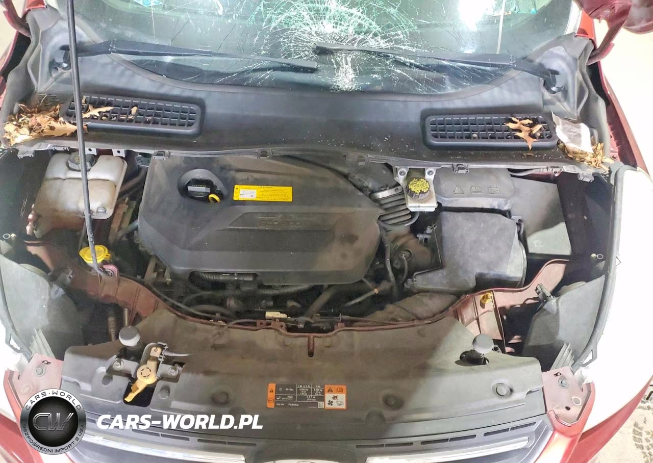 2015 Ford Escape Se VIN:1FMCU9GX4FUC19744 - 12