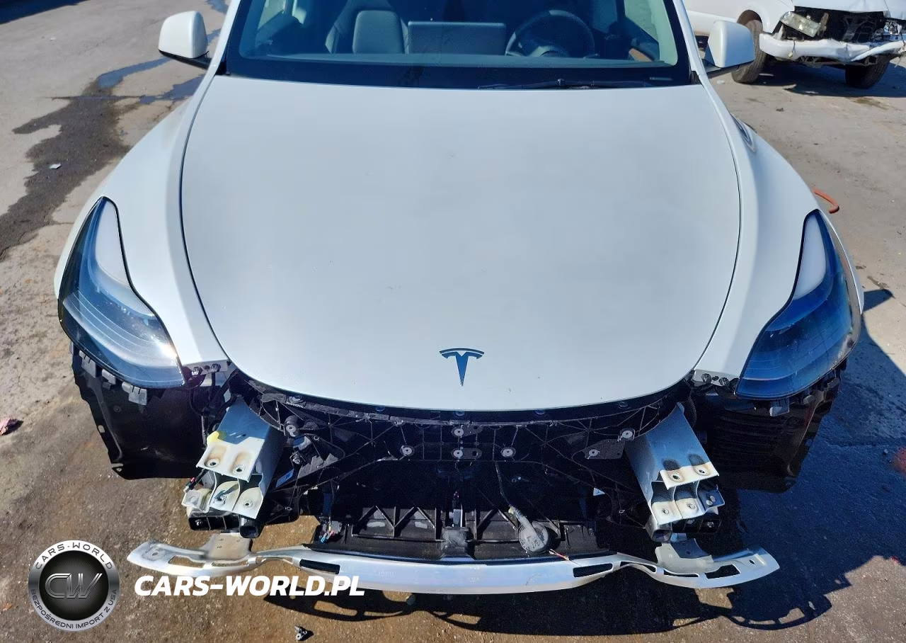2023 Tesla Model Y VIN:7SAYGDEEXPA176575 - 11