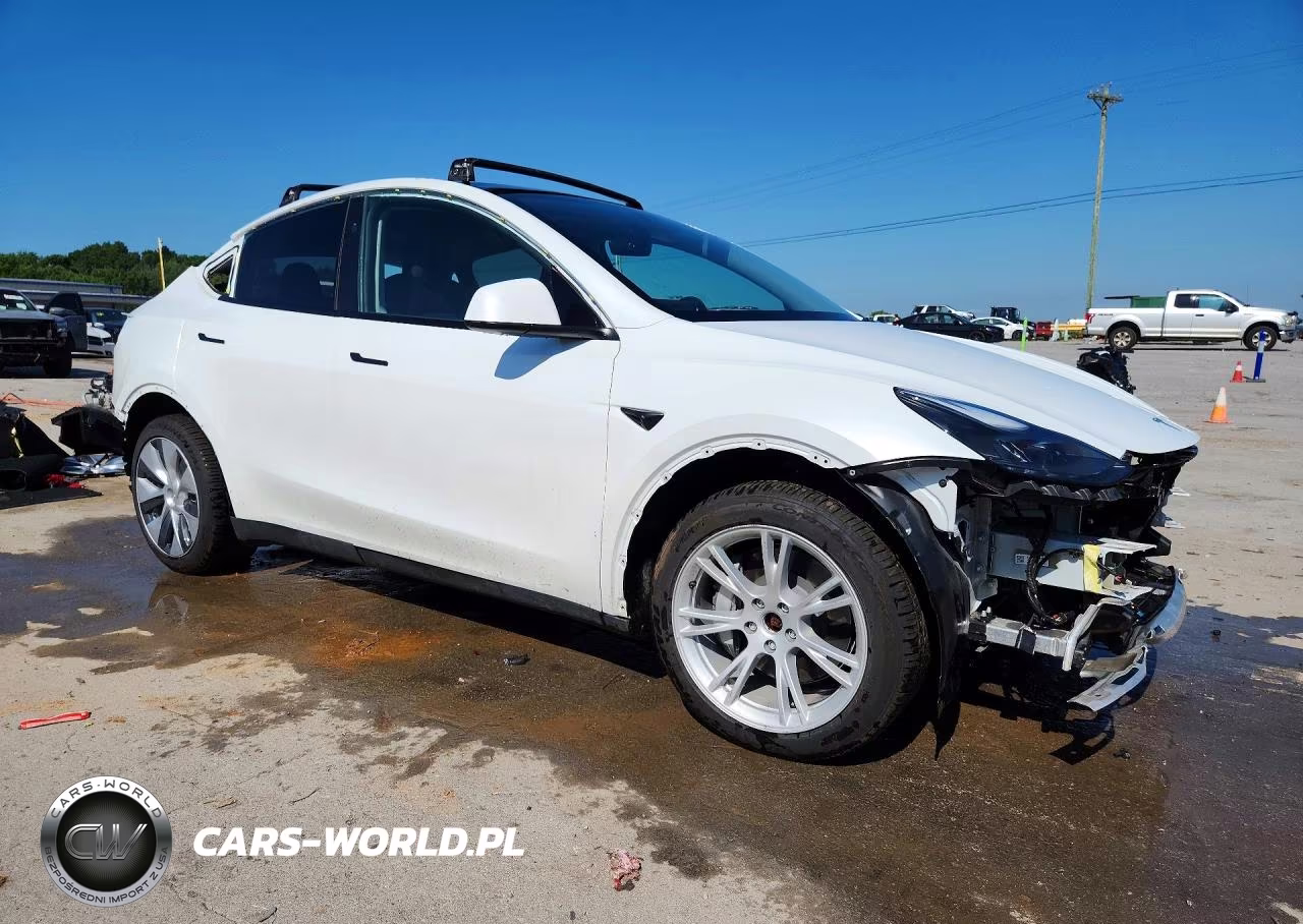 2023 Tesla Model Y VIN:7SAYGDEEXPA176575 - 4