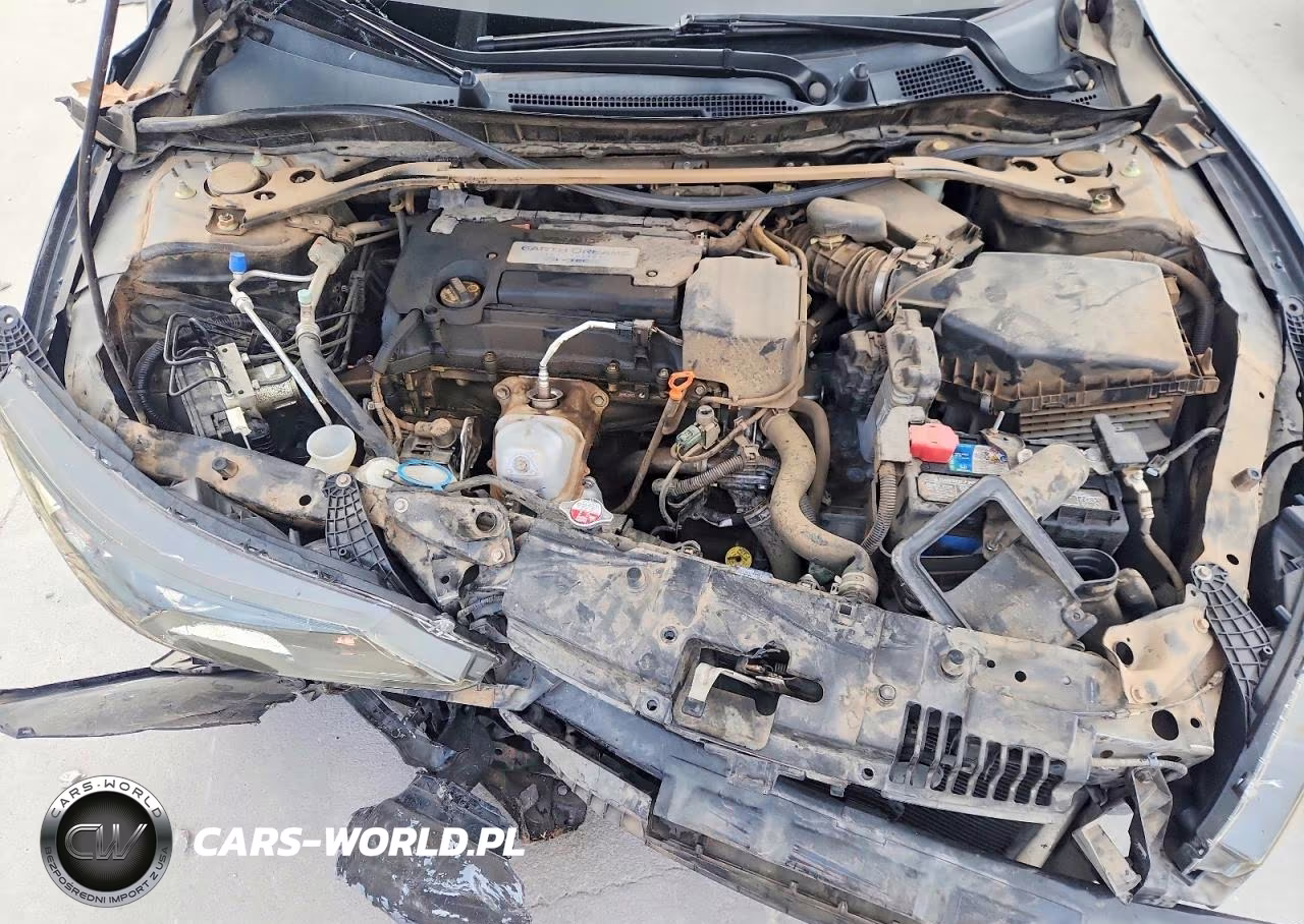2014 Honda Accord Exl VIN:1HGCR2F82EA193606 - 11