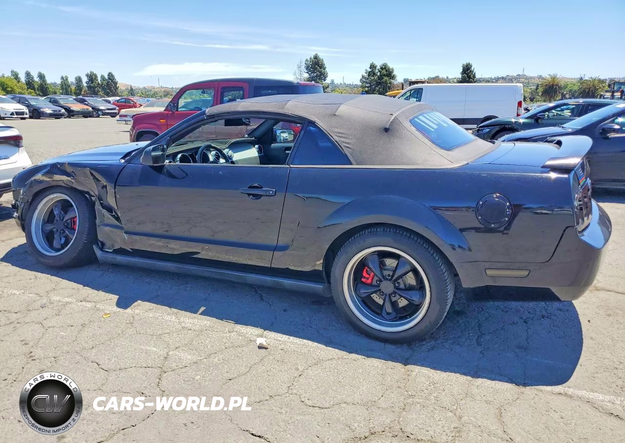 2006 Ford Mustang VIN:1ZVHT84N565118150 - 2