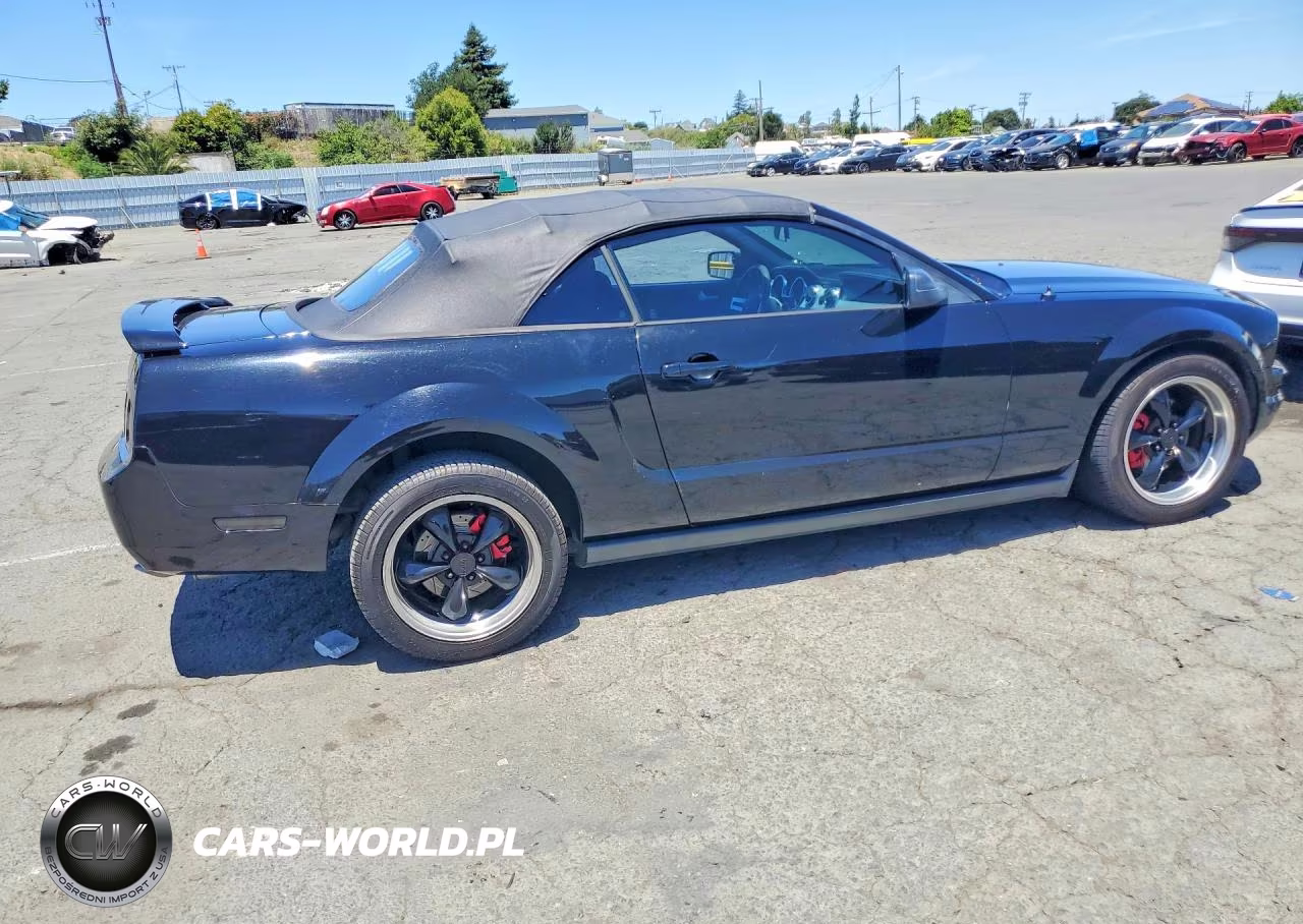 2006 Ford Mustang VIN:1ZVHT84N565118150 - 3