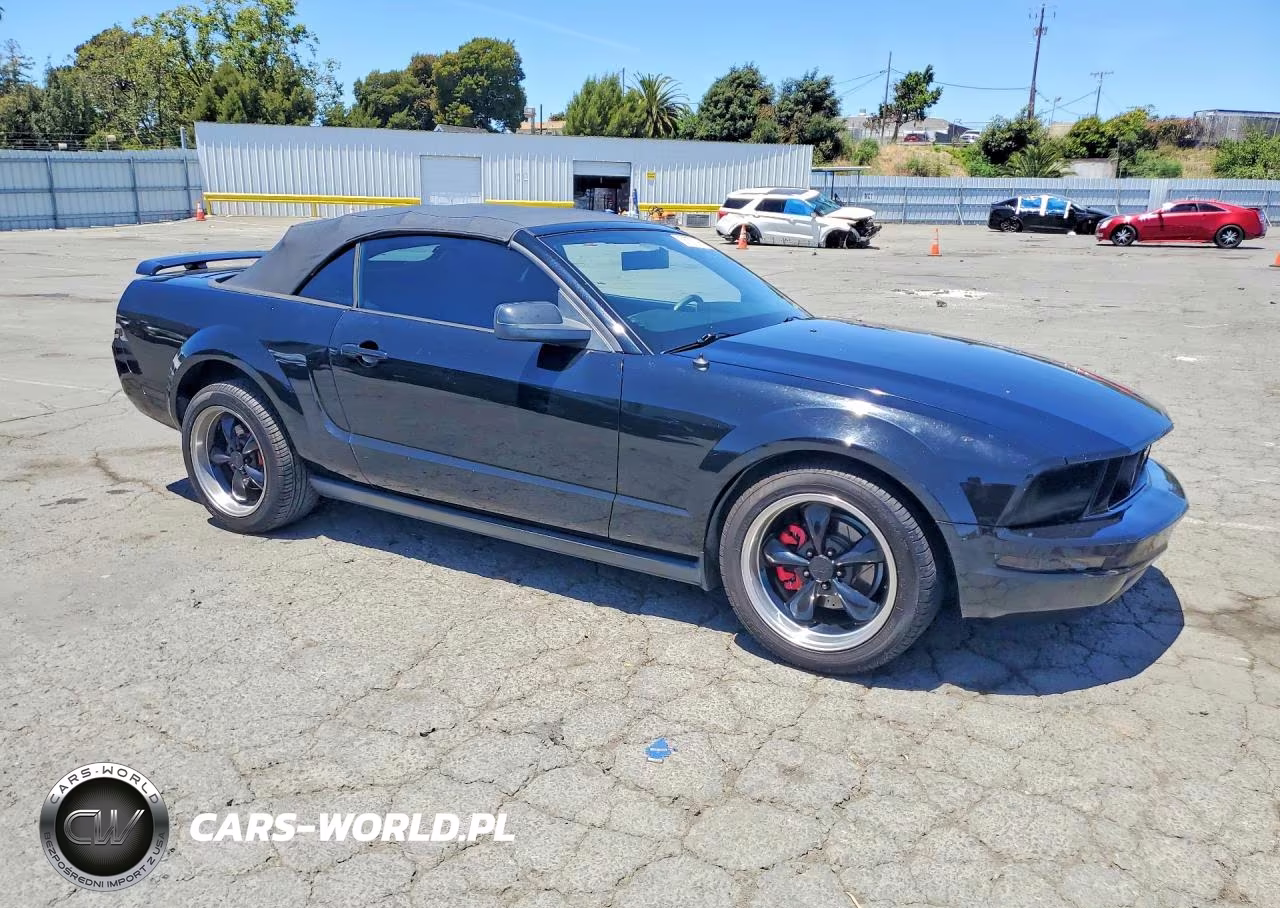 2006 Ford Mustang VIN:1ZVHT84N565118150 - 4