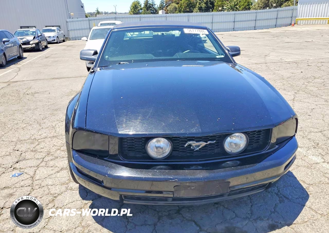 2006 Ford Mustang VIN:1ZVHT84N565118150 - 5