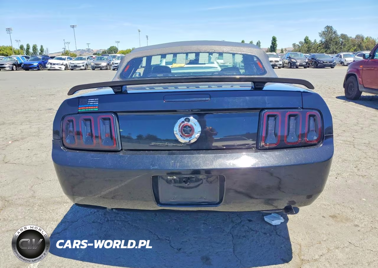 2006 Ford Mustang VIN:1ZVHT84N565118150 - 6