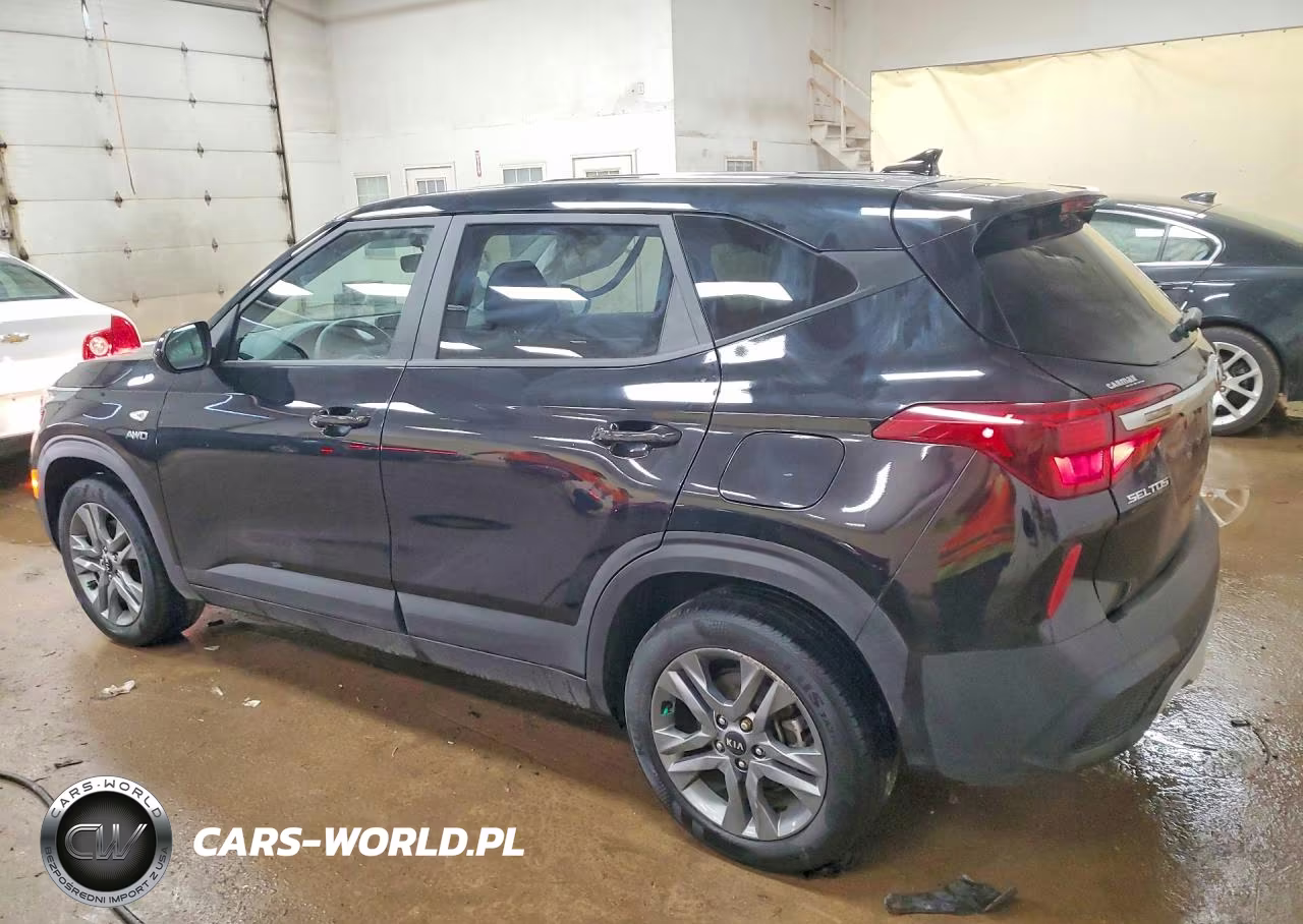 2021 Kia Seltos Lx VIN:KNDEPCAAXM7176545 - 2