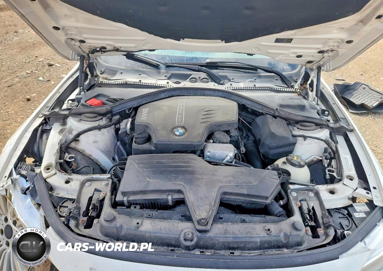 2015 BMW 428 Xi VIN:WBA3N5C5XFK197594 - 11