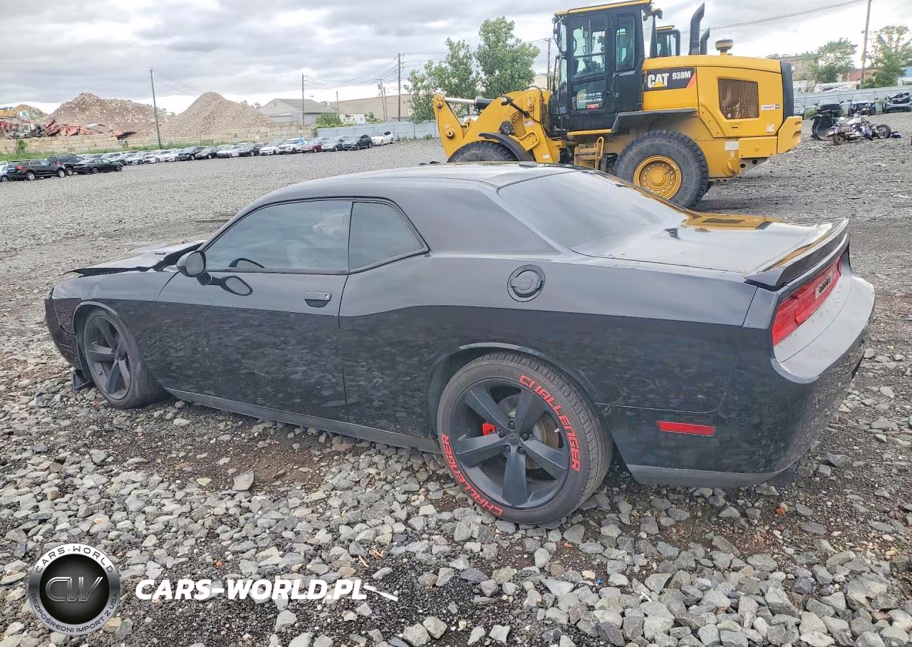 2013 Dodge Challenger R VIN:2C3CDYBT8DH541617 - 2