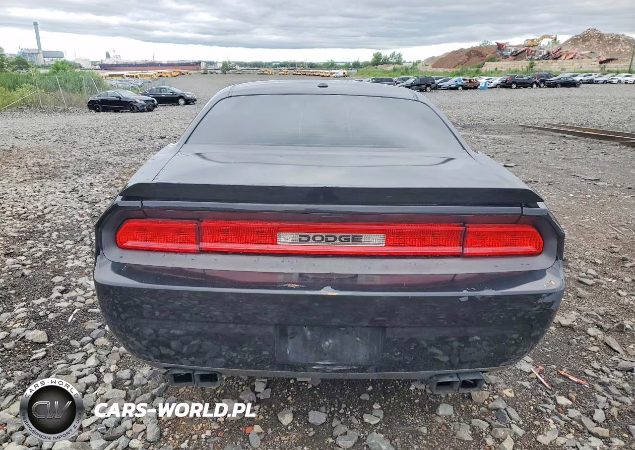 2013 Dodge Challenger R VIN:2C3CDYBT8DH541617 - 6