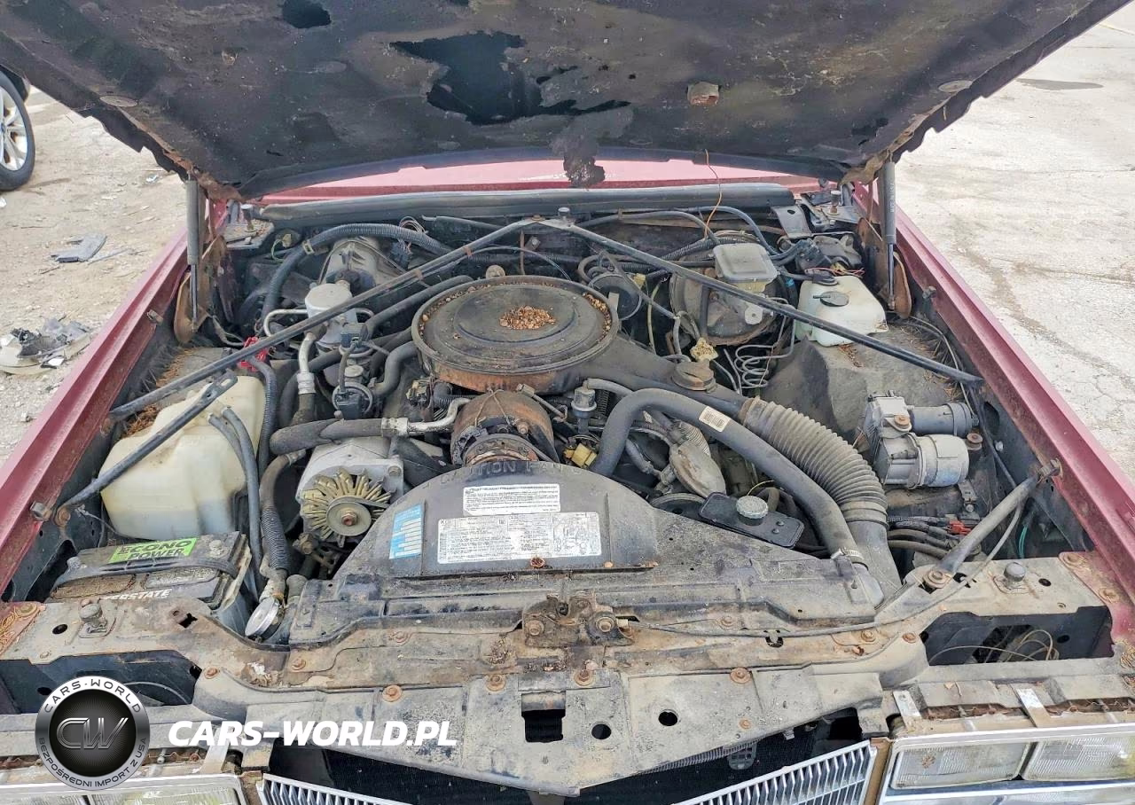 1984 Cadillac Eldorado VIN:1G6AL5789EE667604 - 11