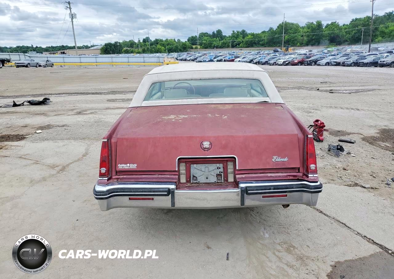 1984 Cadillac Eldorado VIN:1G6AL5789EE667604 - 6