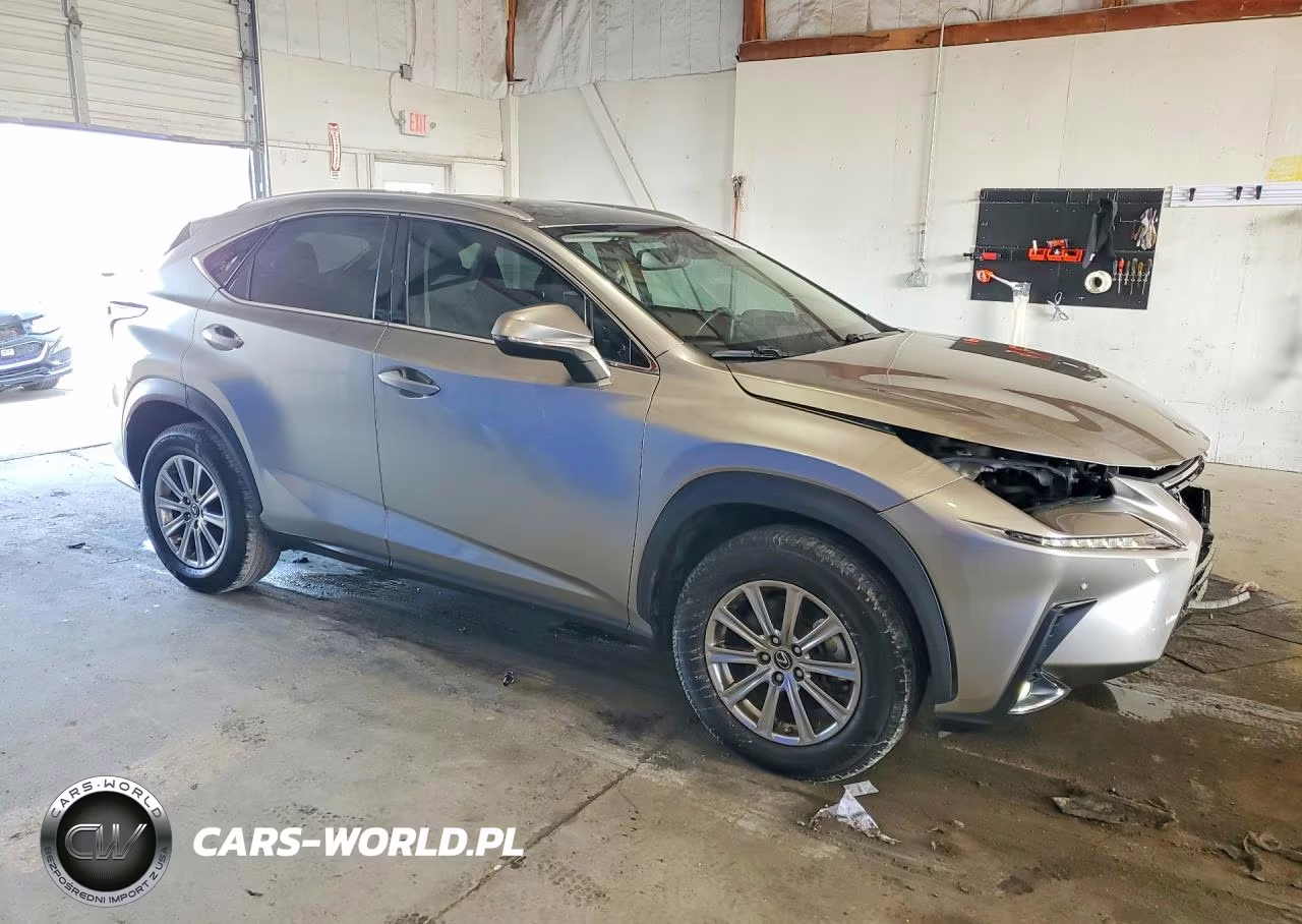2021 Lexus Nx 300 Base VIN:JTJDARDZ7M2248068 - 4