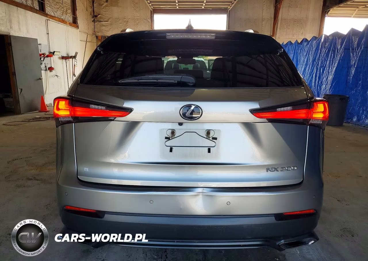 2021 Lexus Nx 300 Base VIN:JTJDARDZ7M2248068 - 6